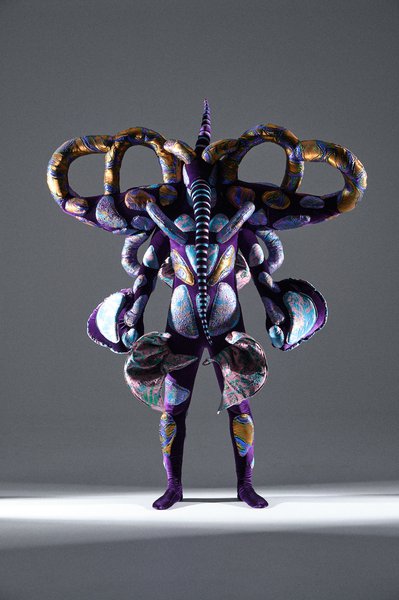 Дрессированный комар Джек